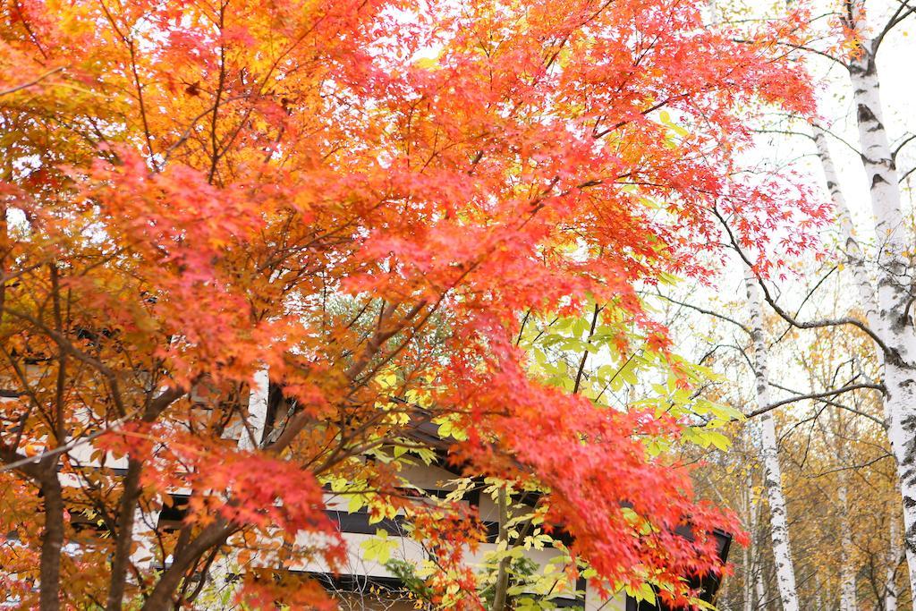 Konashi No Yu Sasaya Hotel Matsumoto Bagian luar foto